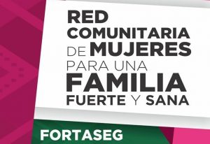 RED COMUNITARIA DE MUJERES POR LA PREVENCIÓN DE LA VIOLENCIA